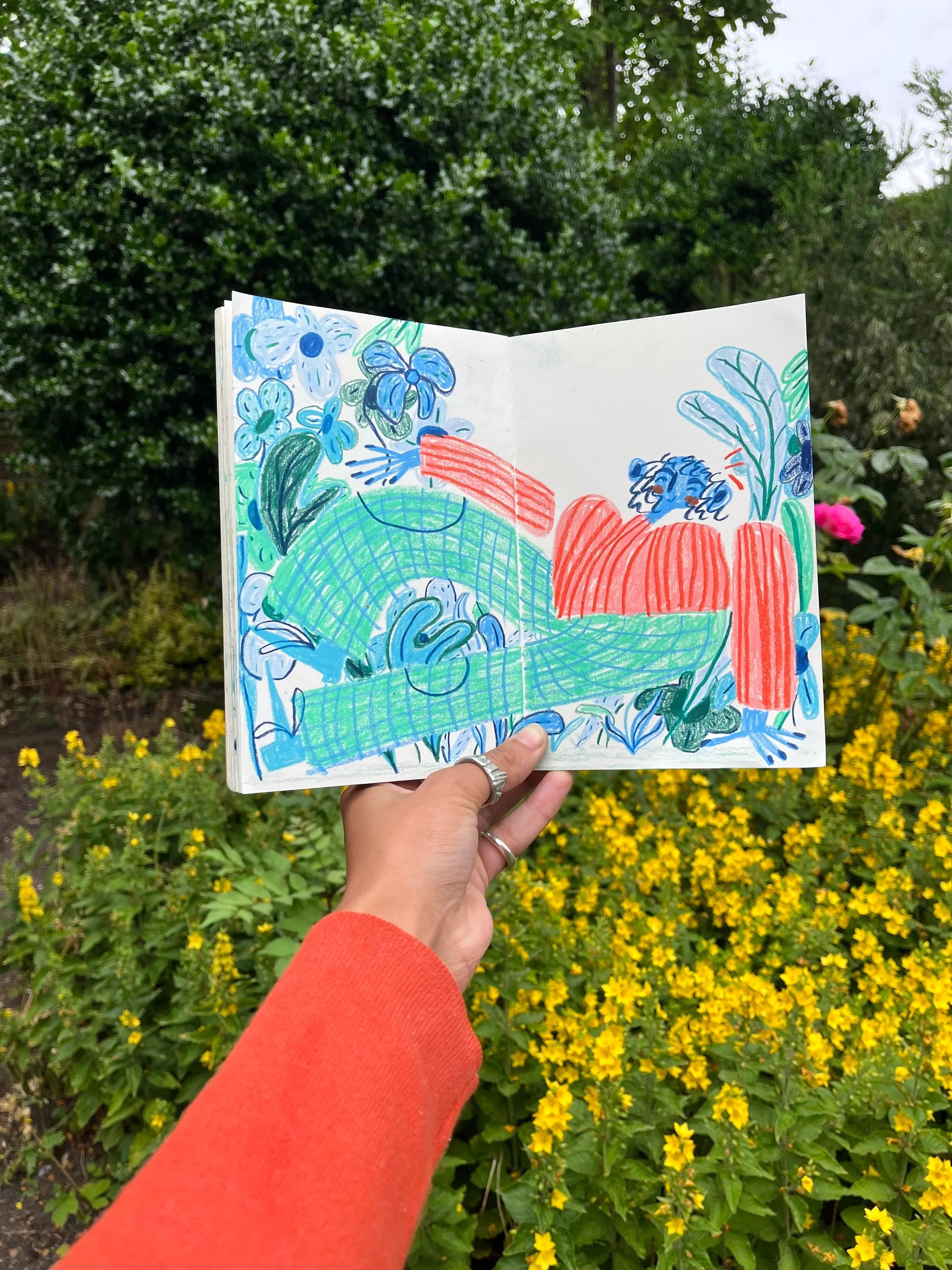 Drawing tutorial with Jemima Muir
