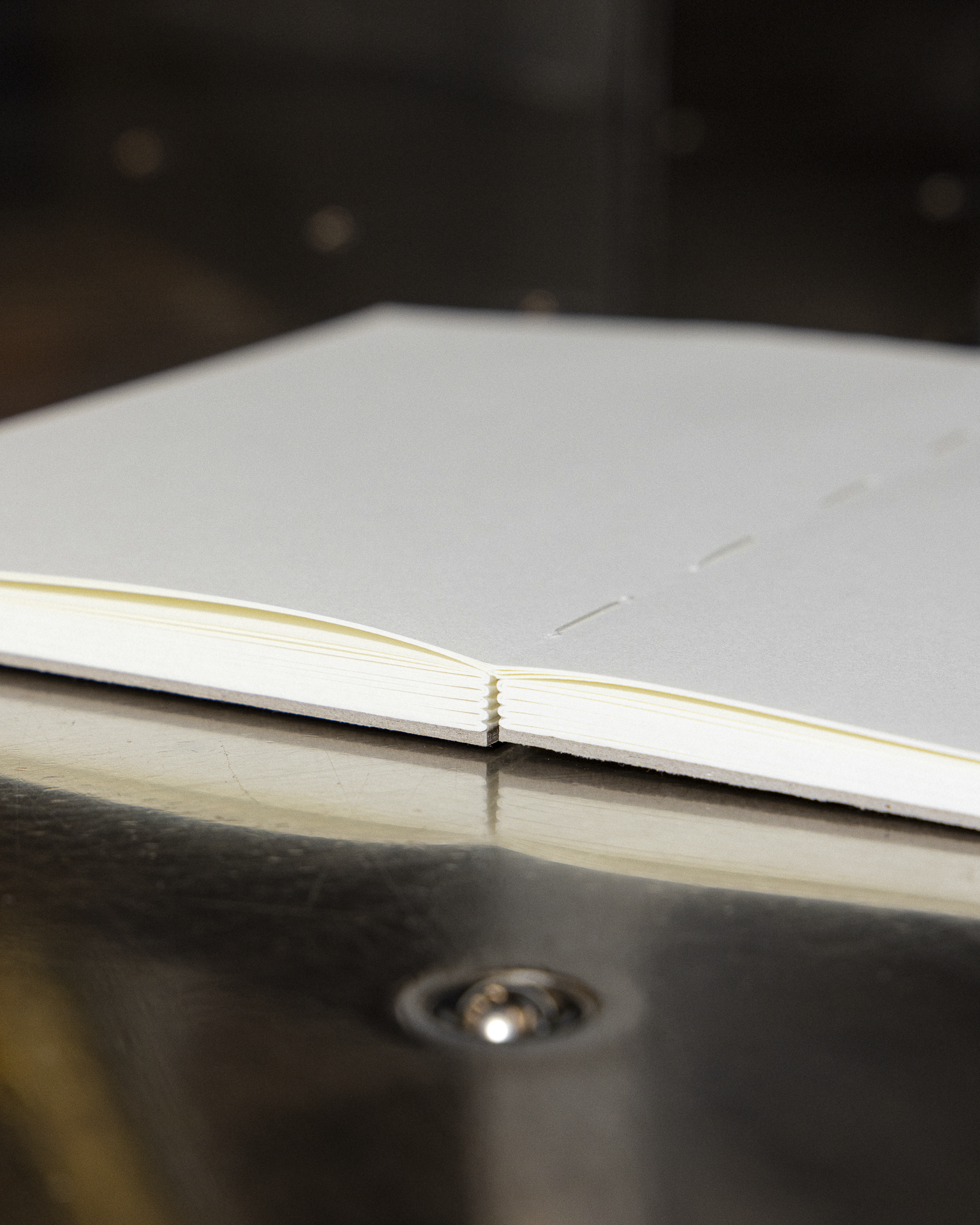 Pomelo Notebook