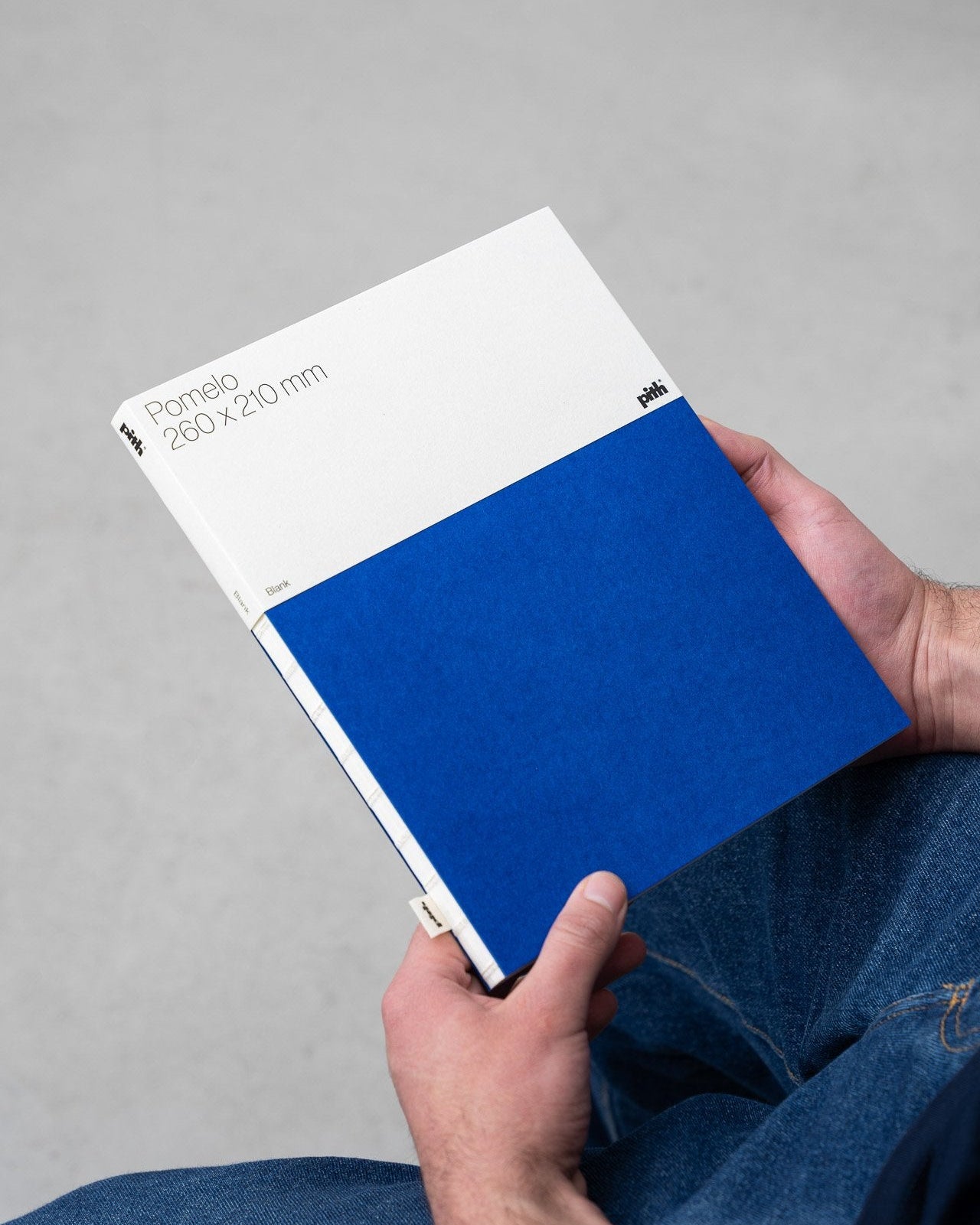 Pomelo Notebook