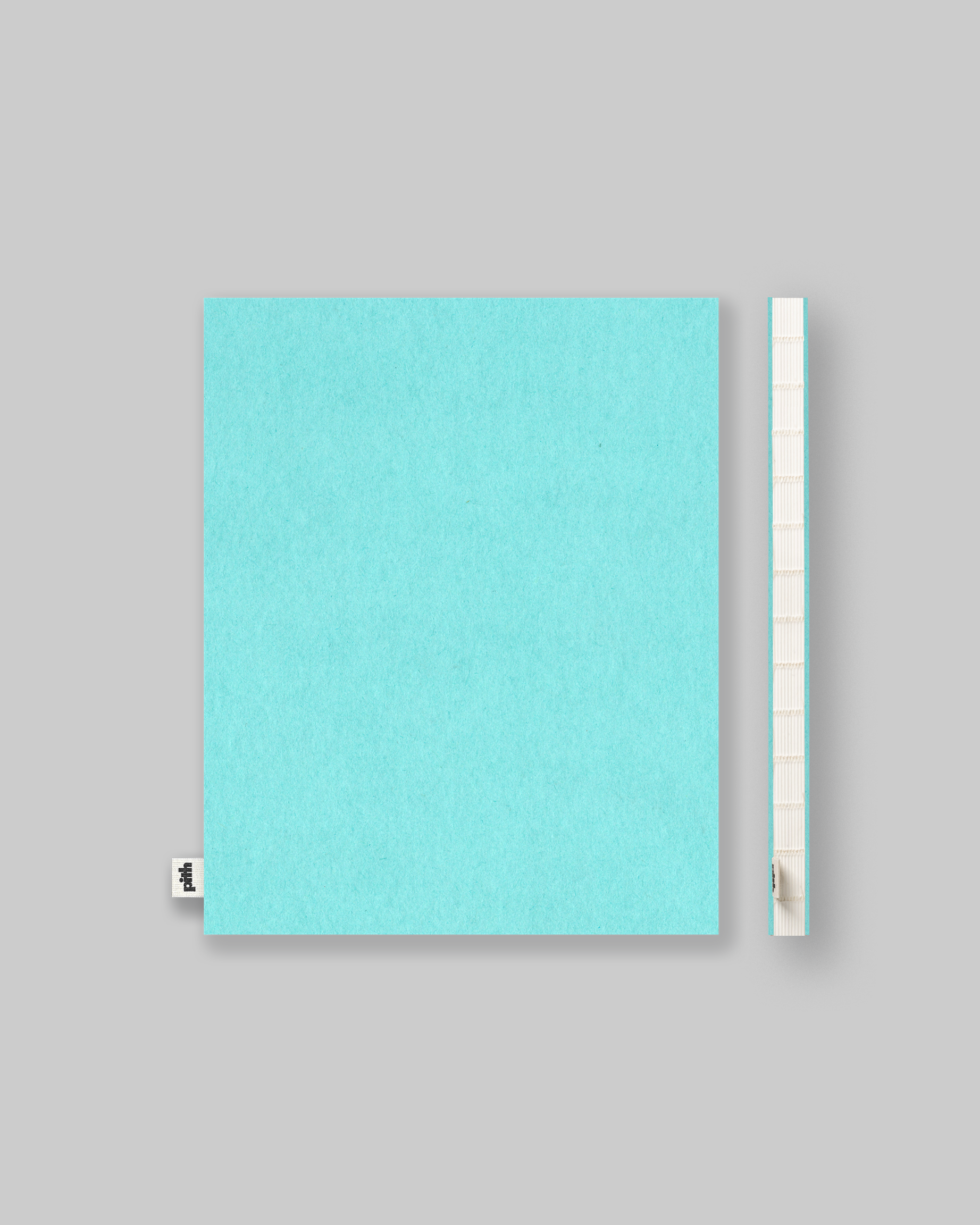 Pomelo Notebook