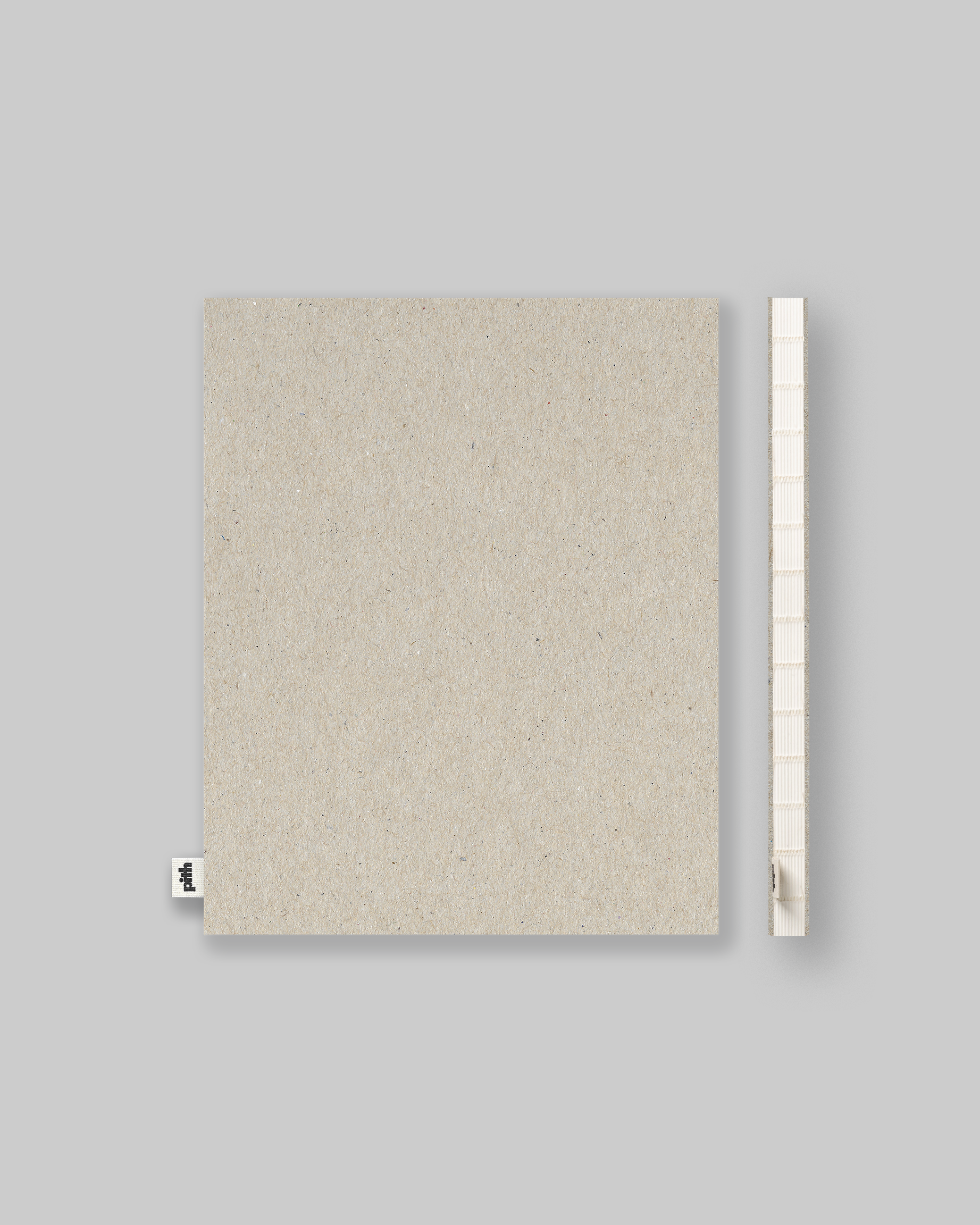 Pomelo Notebook