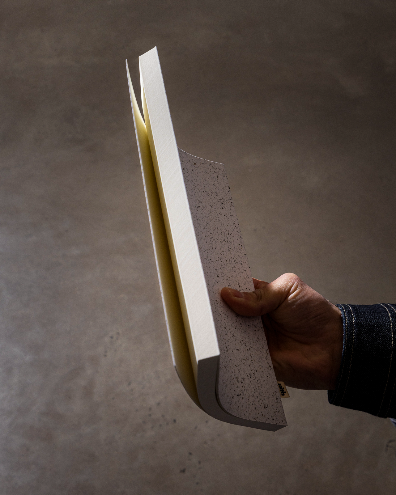 Pomelo Notebook